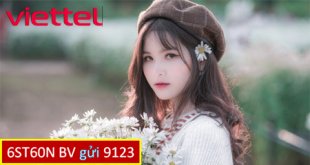Đăng ký gói cước 6ST60N Viettel ưu đãi 2GB/ ngày sử dụng suốt nữa năm