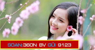 Cách đăng ký gói cước 360N Viettel nhận combo siêu khủng sử dụng trong 1 năm