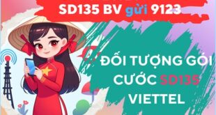 Thông tin đối tượng đăng ký gói cước SD135 Viettel đang được triển khai
