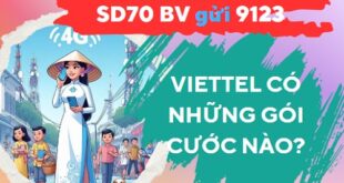Viettel có những gói cước nào? Phân loại nhanh các gói cước này!