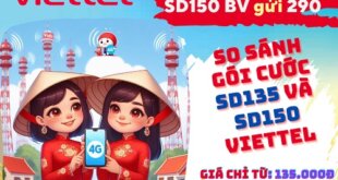 So sánh chi tiết gói cước SD135 và SD150 Viettel: Nên chọn gói nào?